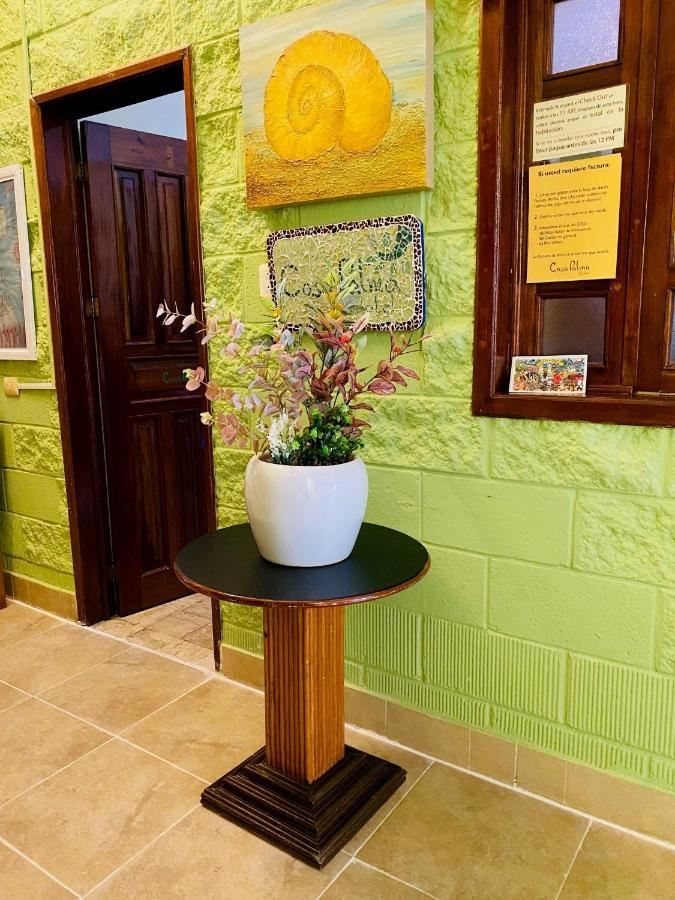 Casa Palma Hotel 신데 델 카르멘 외부 사진