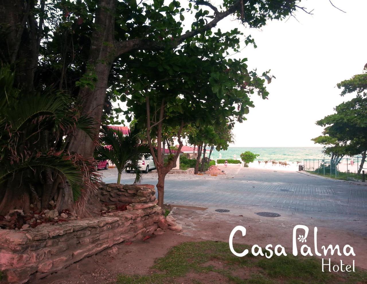 Casa Palma Hotel 신데 델 카르멘 외부 사진