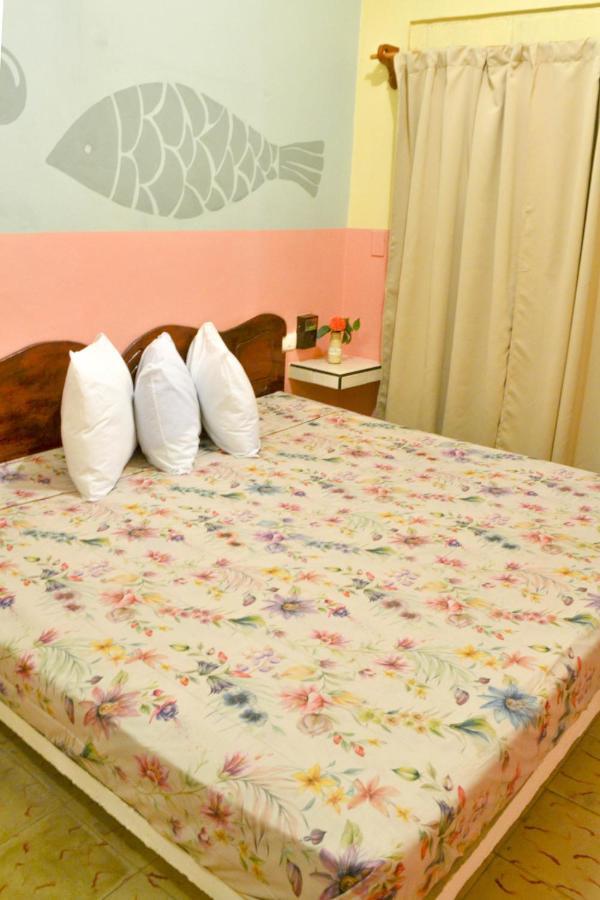 Casa Palma Hotel 신데 델 카르멘 외부 사진