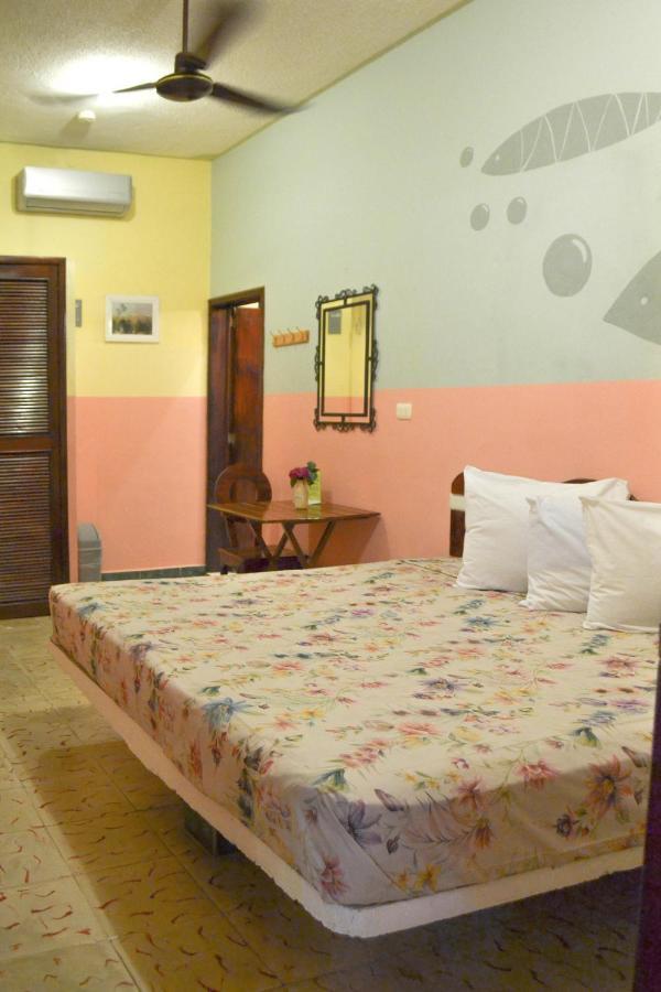 Casa Palma Hotel 신데 델 카르멘 외부 사진